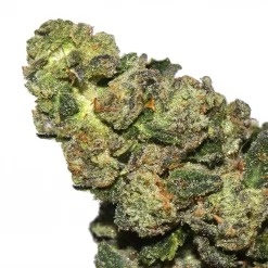 The Funk cannabis strain from La Weeds