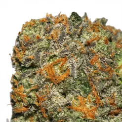 Rainbow Sherbert cannabis strain from Los Exotics weed brand