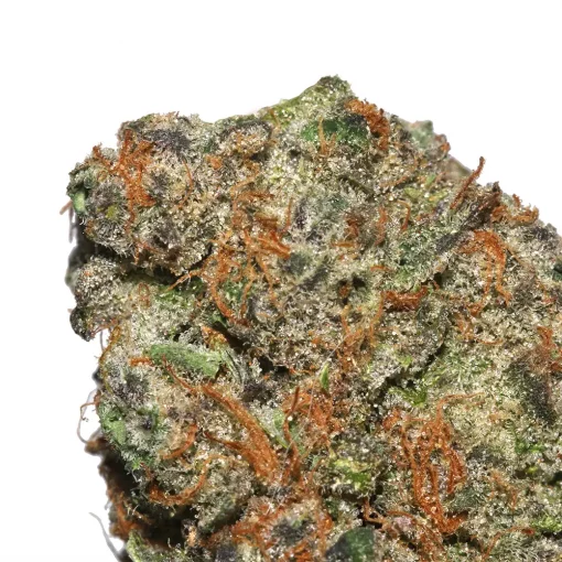 Truffle Cookies cannabis strain from Los Exotics weed brand