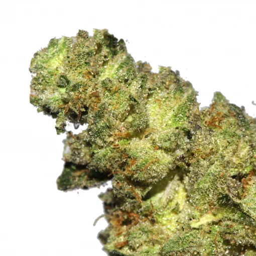 First Class Funk cannabis strain from Marijuana BABA weed brand