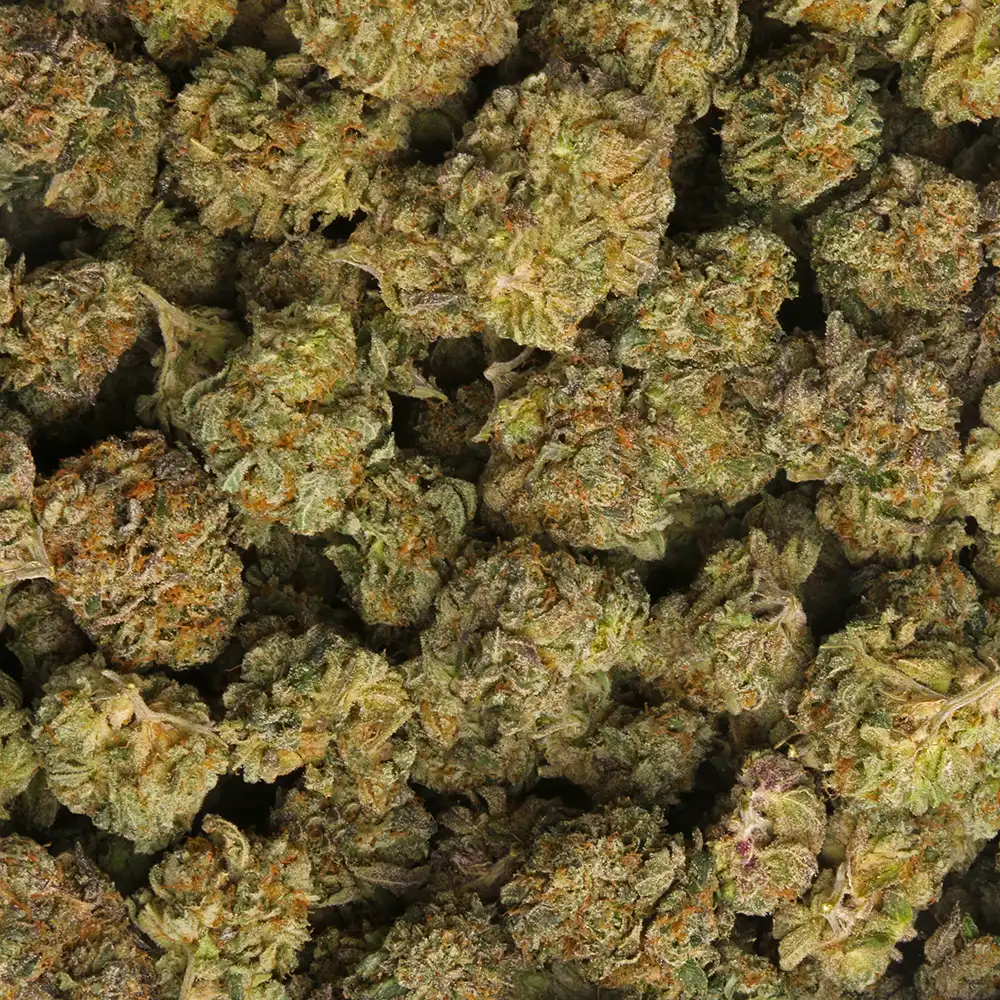 White Gummy strain delivery in Los Angeles