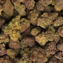 Purple Cream Strain Marijuana Delivery in Los Angeles