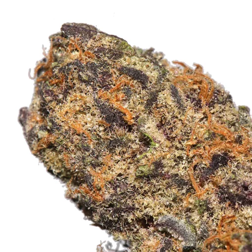 Purple Mimosa cannabis strain from LA Weeds