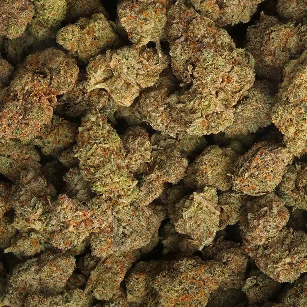 Sherbhead Strain Marijuana Delivery in Los Angeles
