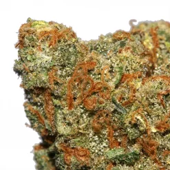 XJ 13 cannabis strain from LA Weeds