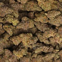 Alien Cookies Strain Marijuana Delivery in Los Angeles