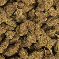Chronic Kiwi Strain Marijuana Delivery in Los Angeles