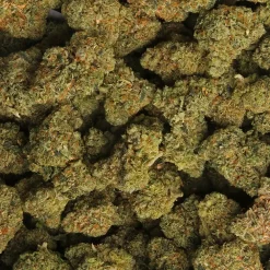 White Gelato OG cannabis strain from LA Weeds
