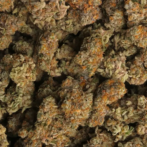Gary Payton Strain Marijuana Delivery in Los Angeles