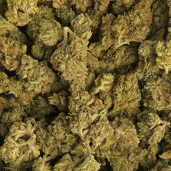 Thriple Threat weed strain from Marijuana Baba