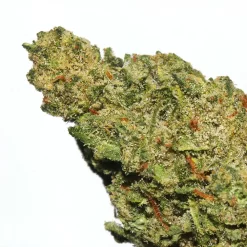 Thriple Threat weed strain from Marijuana Baba