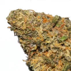 Maui Wowie cannabis strain from LA Weeds
