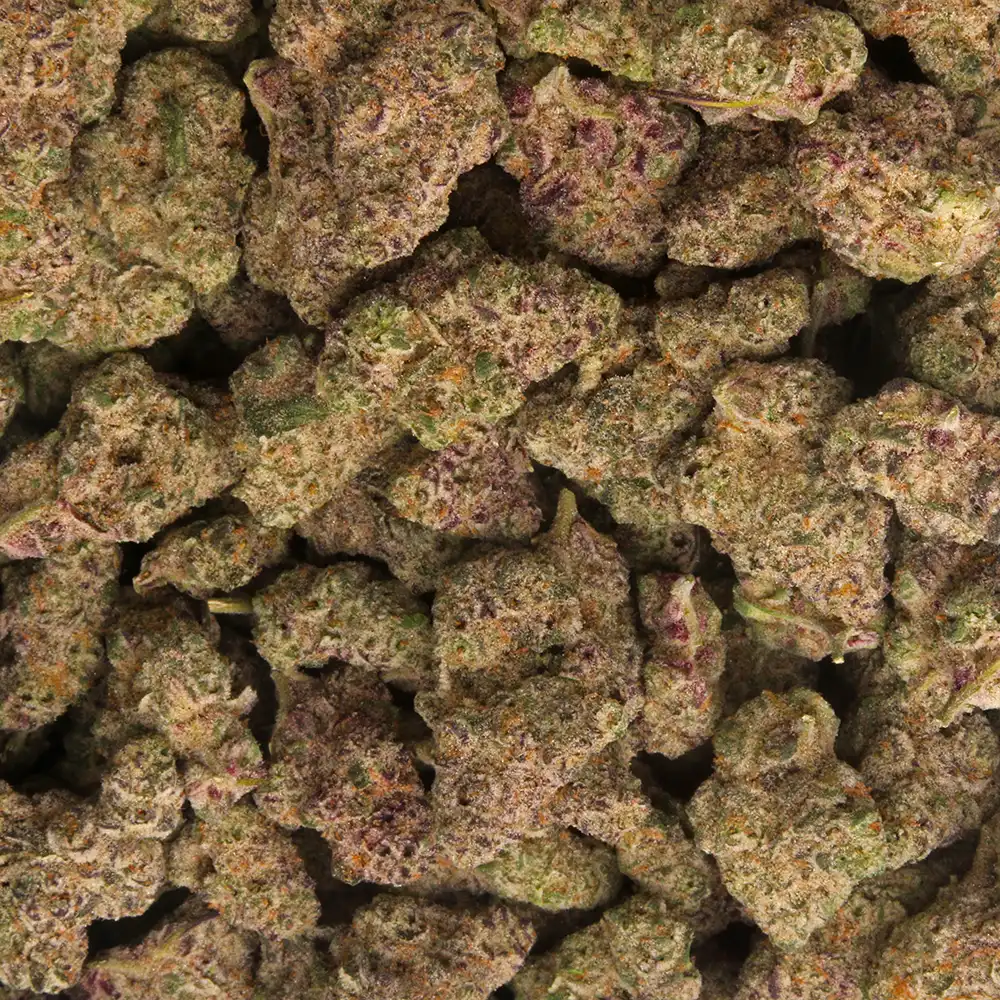 Jelly Runtz Cannabis strain by LA Weeds