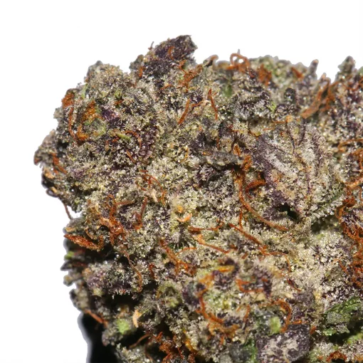 Sherbhead cannabis strain from LA. Weeds