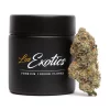 Smarties weed strain from Los Exotics