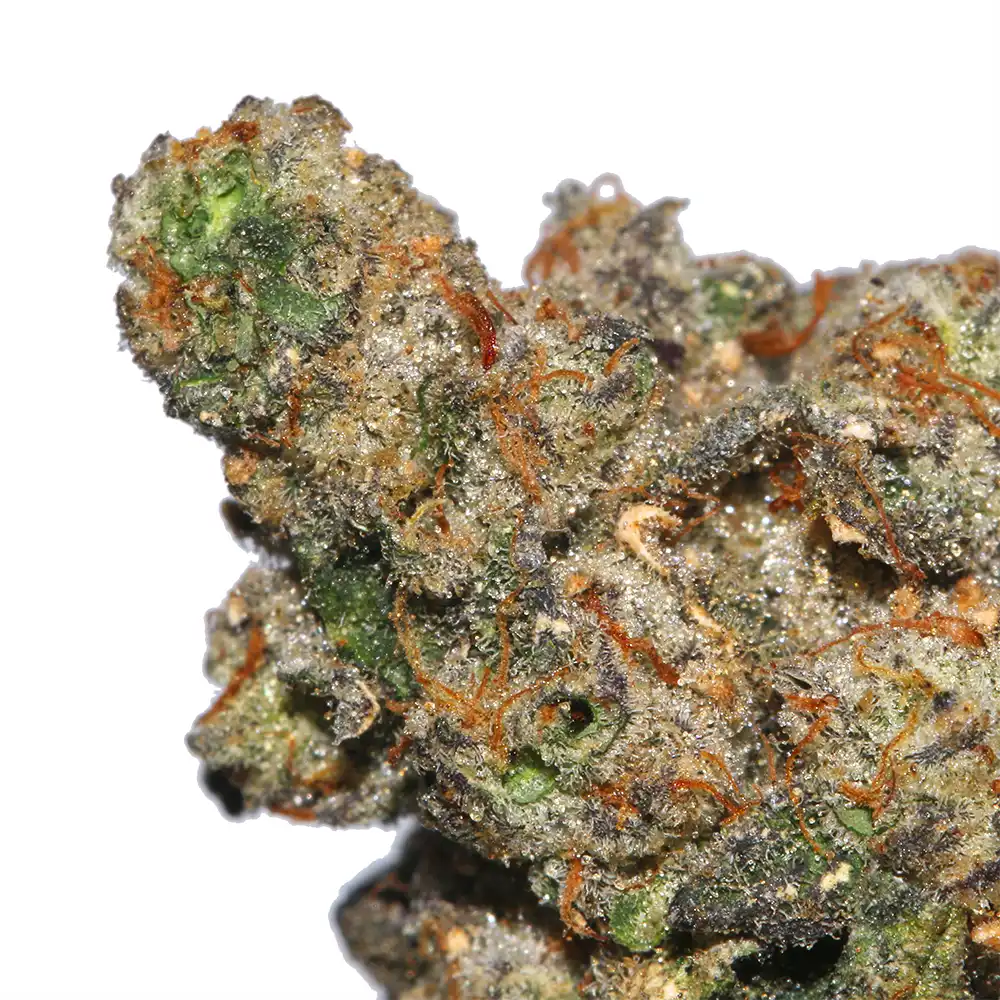 Gas Face weed strain from Los Exotics