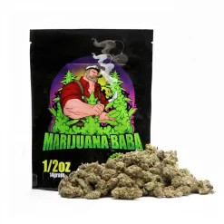Black Cherry Gelato weed strain from Marijuana Baba