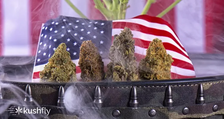 Medical Cannabis for Veterans