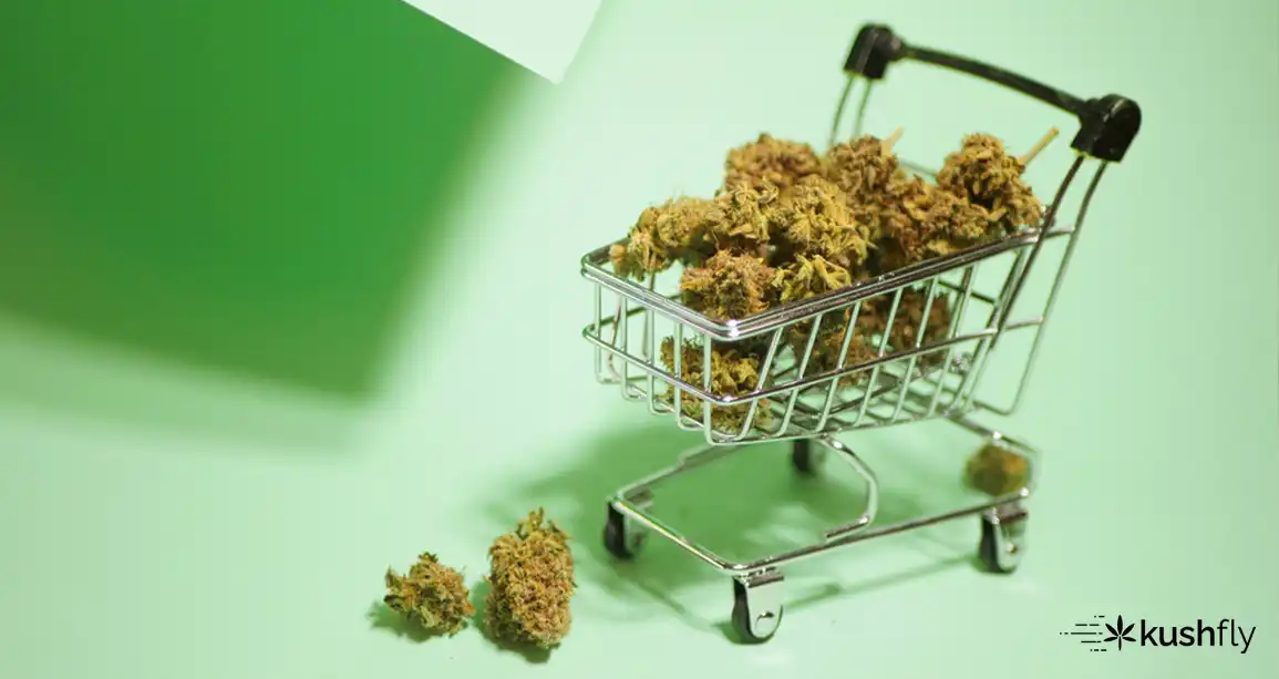 Why Buying Cannabis in Bulk Is Rewarding?