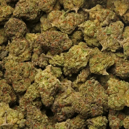 Holy Cream cannabis strain by LA Weeds