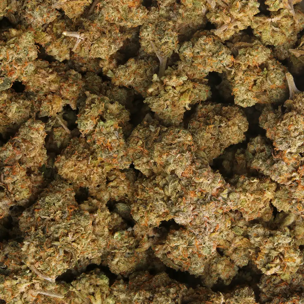 Payton's Pie cannabis strain by LA Weeds