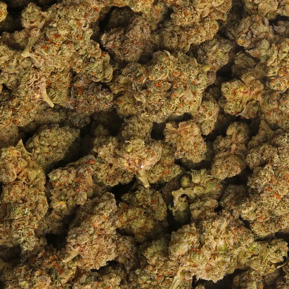 Cherry Gumbo cannabis strain form LA Weeds