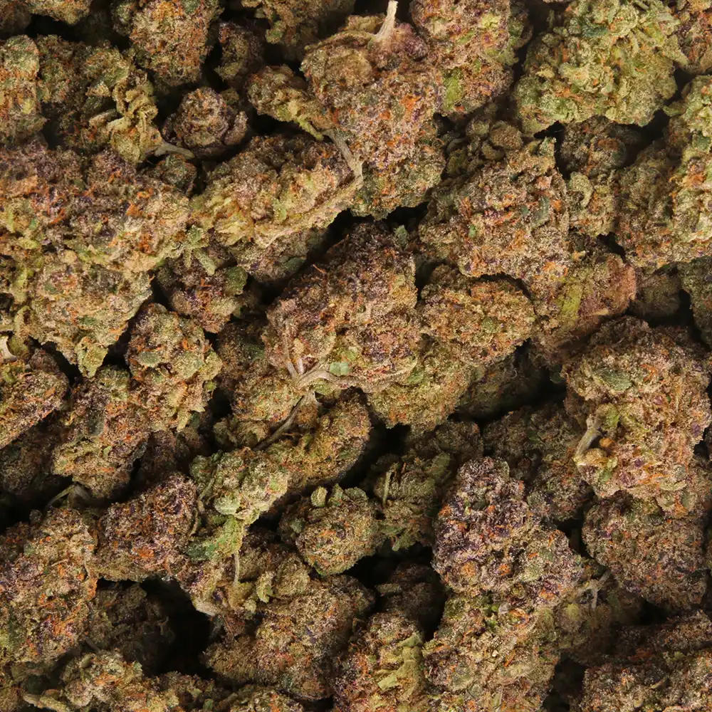 Pink Runtz cannabis strain by LA Weeds