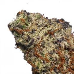 Glitter Bomb weed strain from Los Exotics