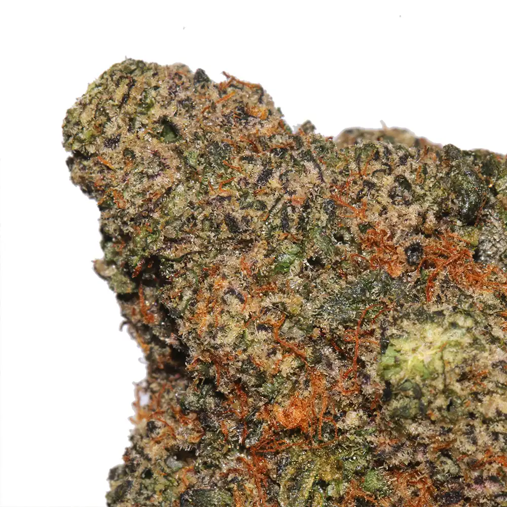 Frozen Grapes weed strain by Los Exotics