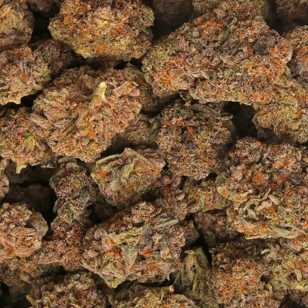 Frozen Grapes weed strain by Los Exotics