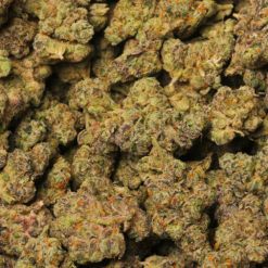 Gas Face cannabis strain by LA Weeds