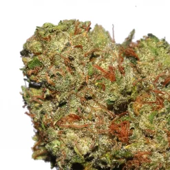 Tru OG cannabis strain by LA Weeds