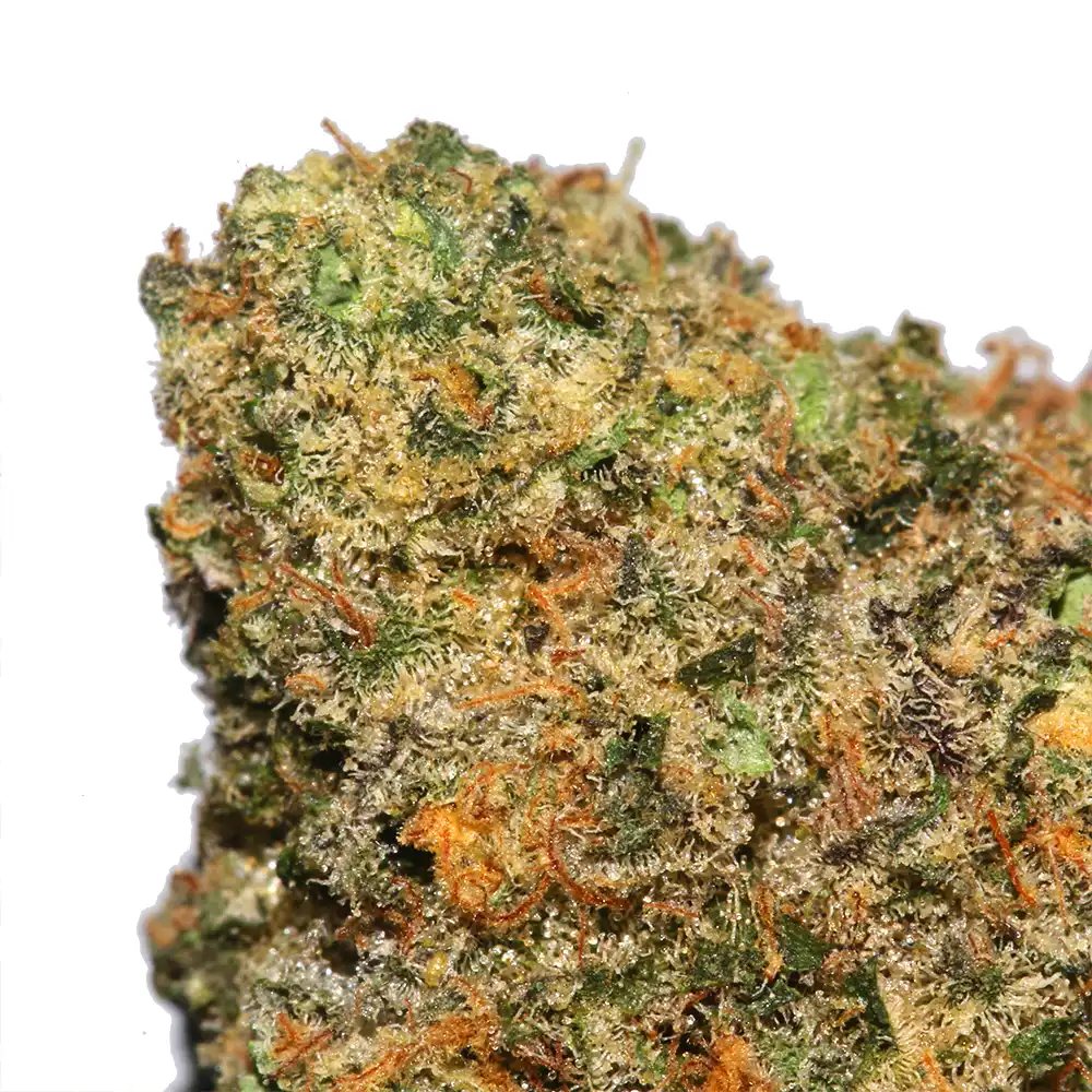 Crack Berry Zkittlez weed strain by Los Exotics