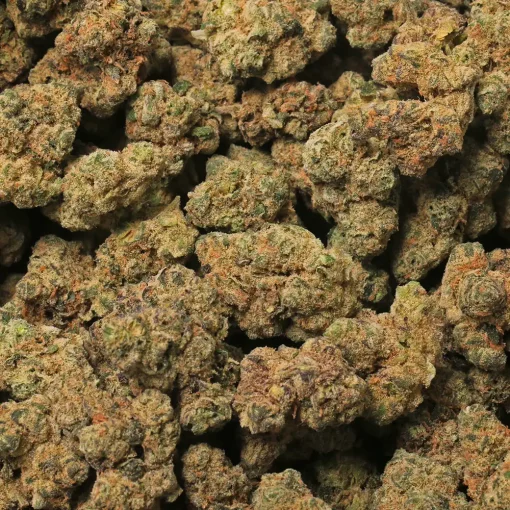 Grape Gas Cannabis Strain by LA Weeds