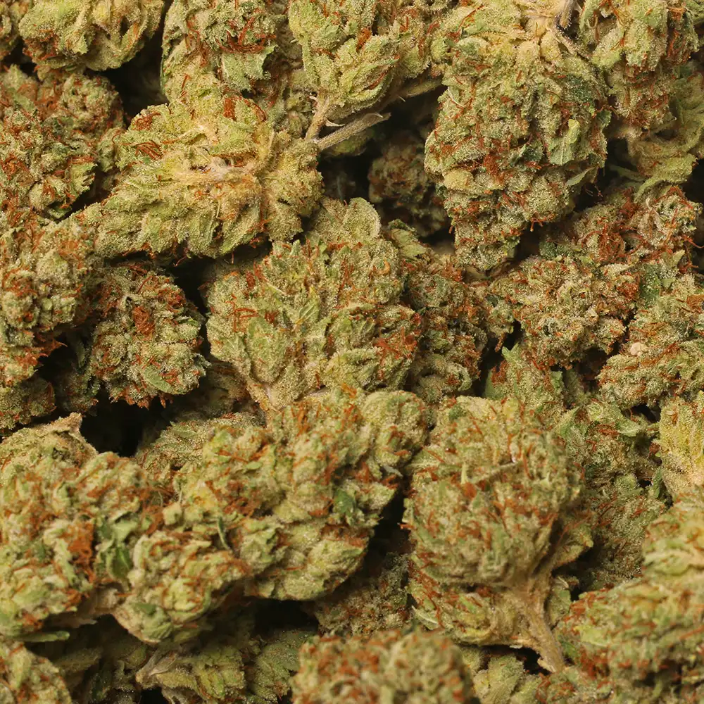 Skywalker OG Strain Marijuana Delivery in Los Angeles