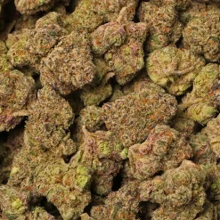 Frosted Cherry Gumbo Strain Delivery in Los Angeles