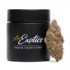 Permanent Marker X Push Pop weed strain by Los Exotics