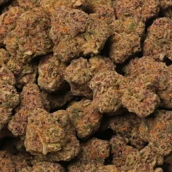 Watermelon Gumbo Strain Delivery in Los Angeles - Kushfly