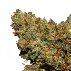 818 OG Kush Cannabis strain by LA Weeds