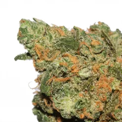 Blue Dream cannabis strain by LA Weeds