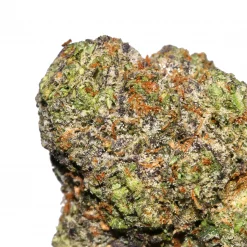 los exotics bubblegum runtz strain marijuana