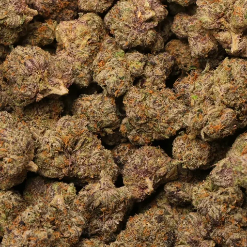 los exotics bubblegum runtz strain marijuana