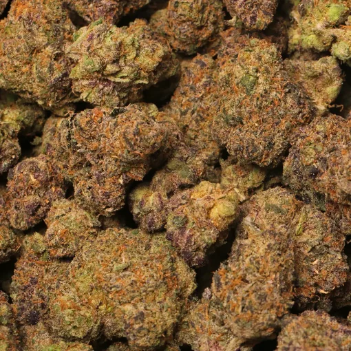 Lemon Cherry Cookies Cannabis Strain by Los Exotics