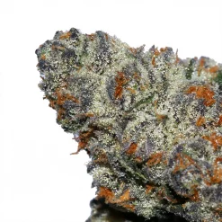Purple Cherry Gelato Cannabis strain by LA Weeds