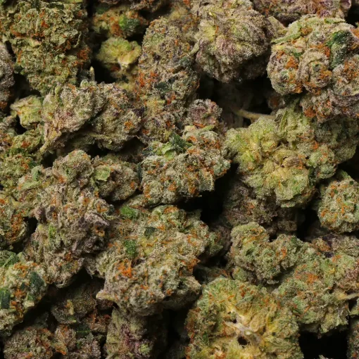 Rainbow Slush Cannabis strain by LA Weeds