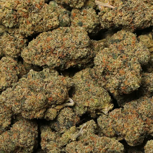 Legend OG cannabis strain by LA Weeds