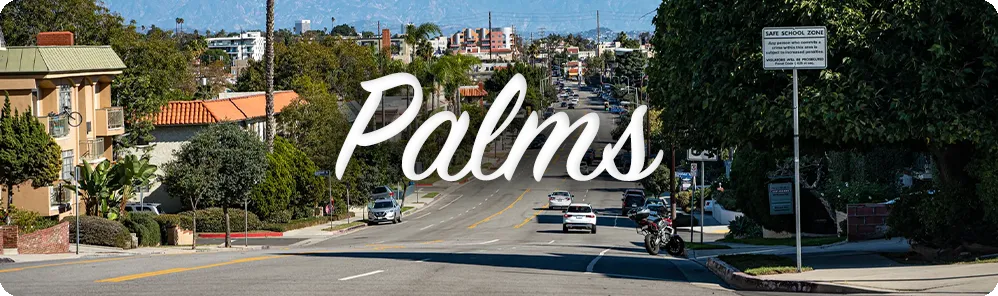 palms-weed-delivery