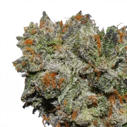 F.O.G. Cannabis strain by LA Weeds