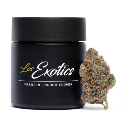Candy Cream Cannabis strain by Los Exotics