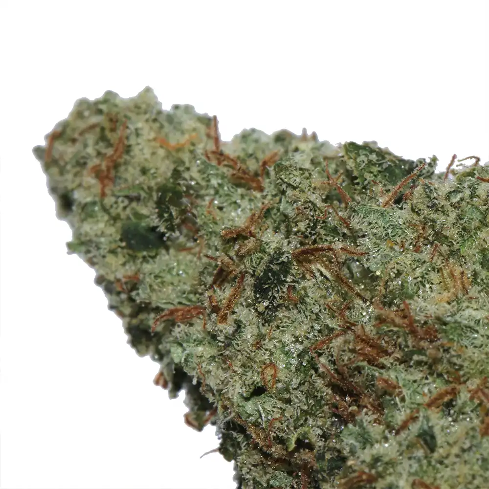 Chemhaze sativa cannabis strain by LA Weeds
